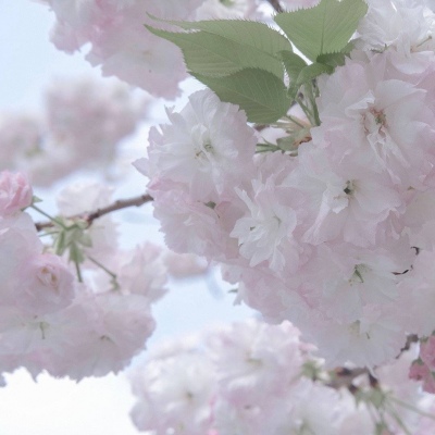 固始FurryQQ群介绍